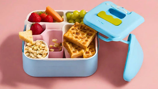 Overview and Comparison of School Thermo Boxes