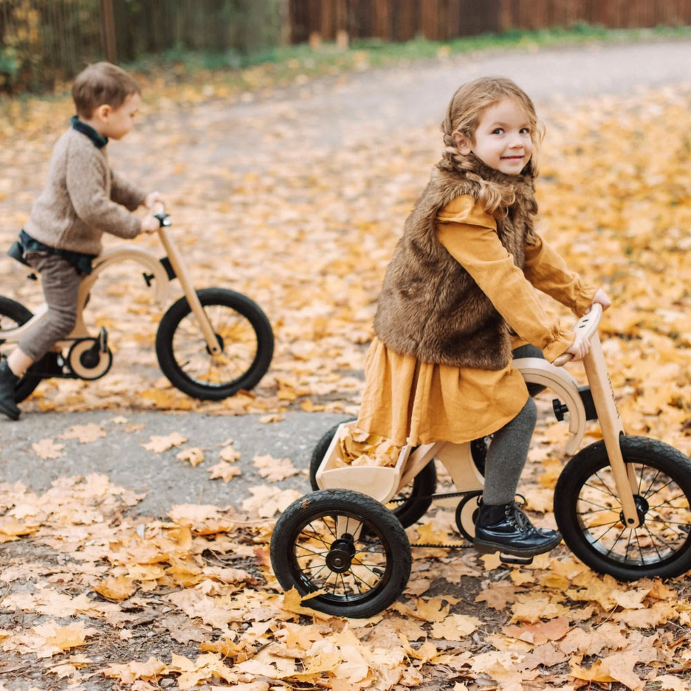 Balance Bike - Tricycle Accessory - Leg&go - Bicycle Accessories - Leg&go