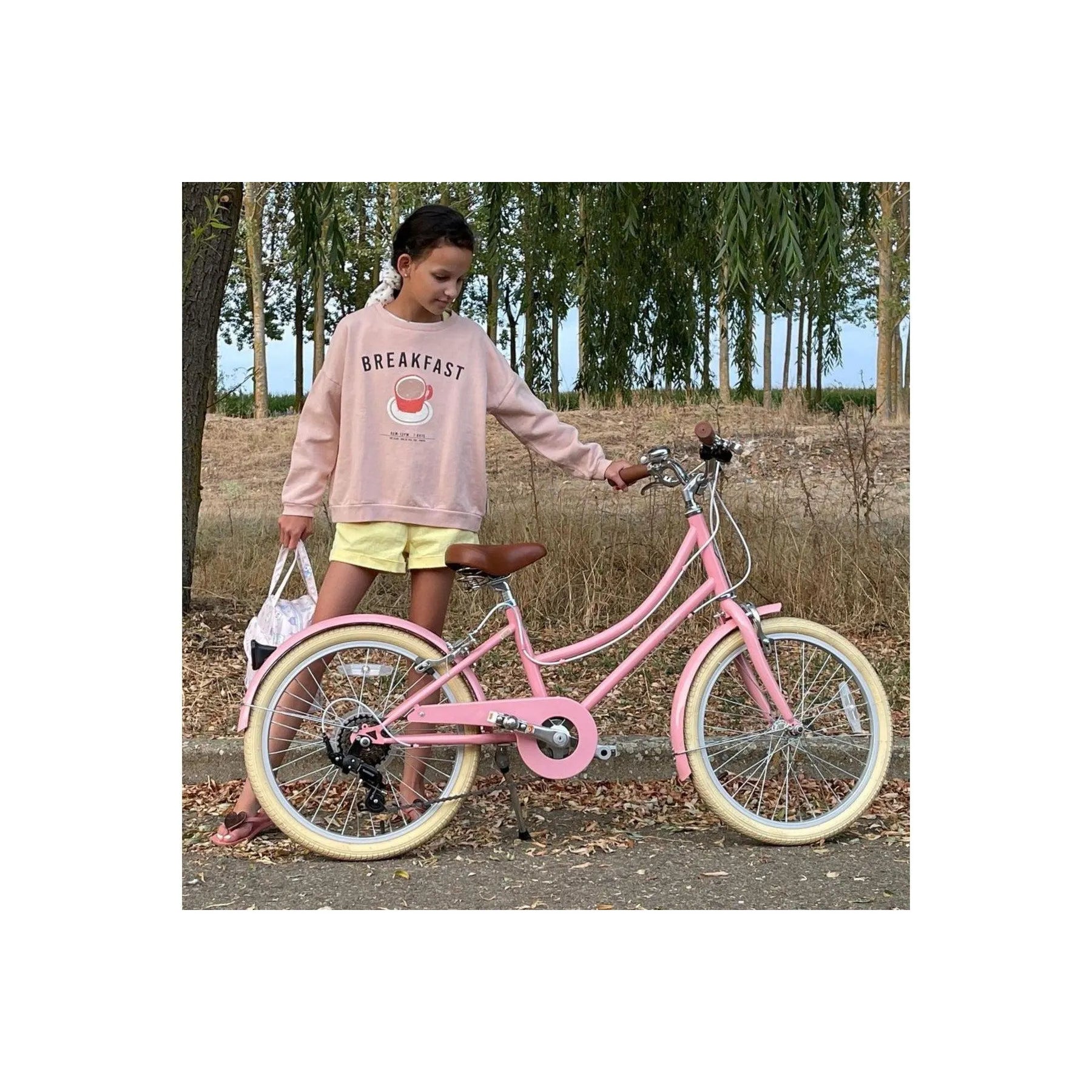 Gingersnap 20'' bicycle - Pink - Bobbin - Bicycles