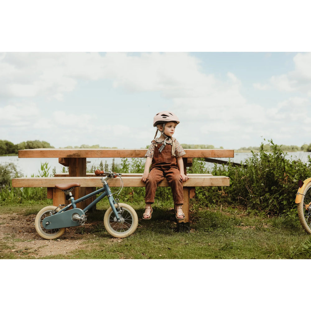 Skylark 12" Bike - Blue - Bobbin - Bikes