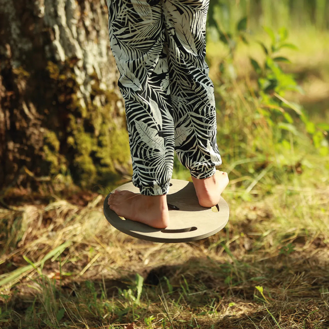 Hanging Swing - Disc - Katehaa