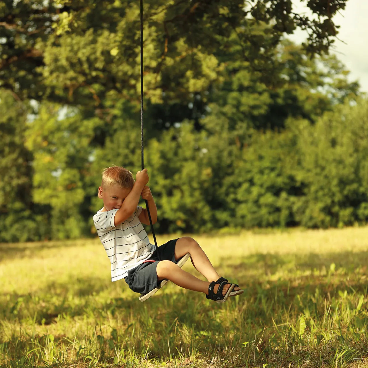Hanging Swing - Disc - Katehaa