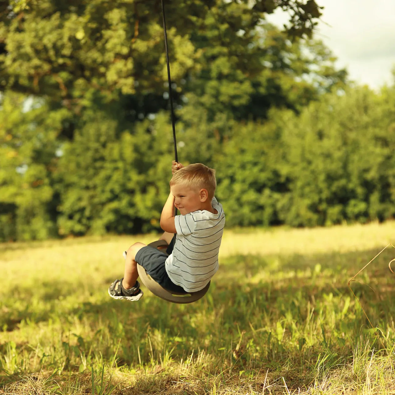 Hanging Swing - Disc - Katehaa
