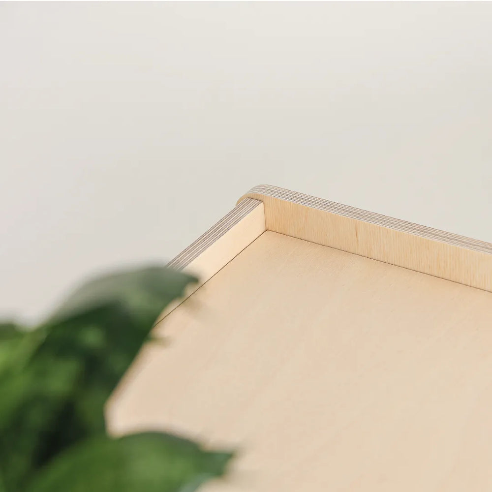 Montessori Shelf with Three Sections - Shelves - Katehaa