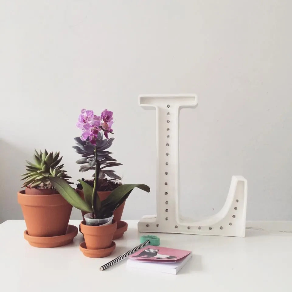 Letter Lamps A-z - Little Lights - Wooden