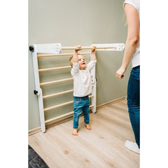 Montessori Triangle with Ramp - Family