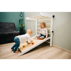 Montessori Triangle with Ramp - Family